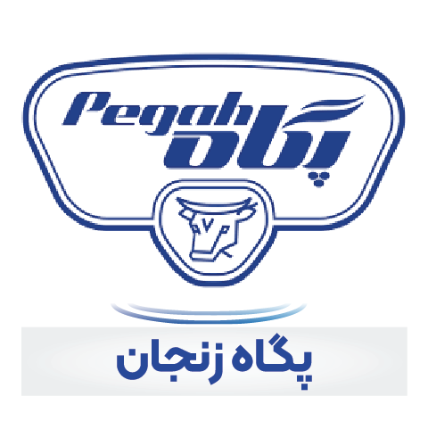 پگاه زنجان